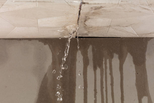Professional Structural Drying technician working in Marshall, AR
